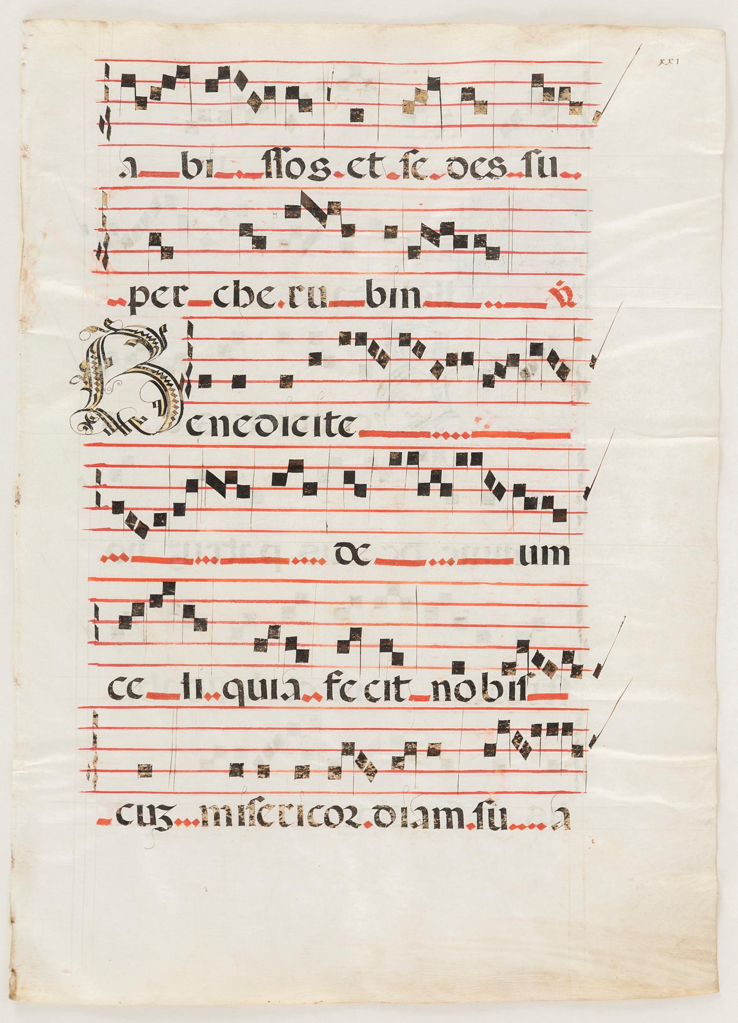 Medieval manuscript leaves.