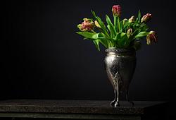 Silver Linings E1279