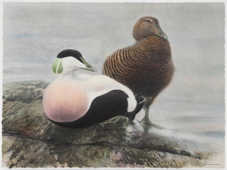 Lars Jonsson, portfölj "Dagrar", 2000,  med 12 färglitografier, signerade 167/366.