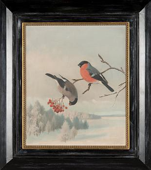 Matti Karppanen, Bullfinches.