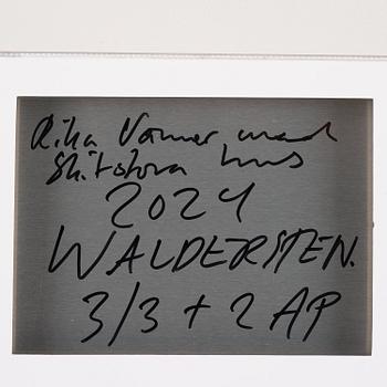 Jesper Waldersten, "Rika vänner med skitstora hus".