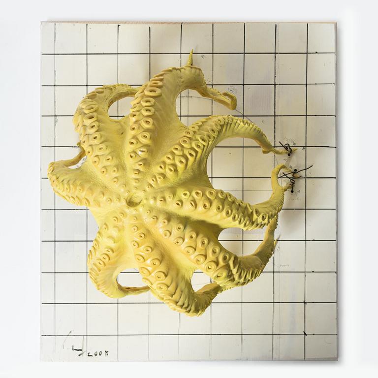 Ulf Rollof, "Model for 2008 UNDER".