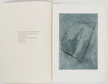 Curt Asker/Wallace Stevens "Elva dikter".