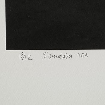 HÅKAN LUDWIGSON, photography signed Håkan Ludwigsson and dated Somalisa 2011 and numbered 9/12.