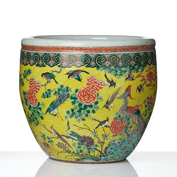 A large yellow ground '100 birds' fish basin, Qing dynasty, 19th century.