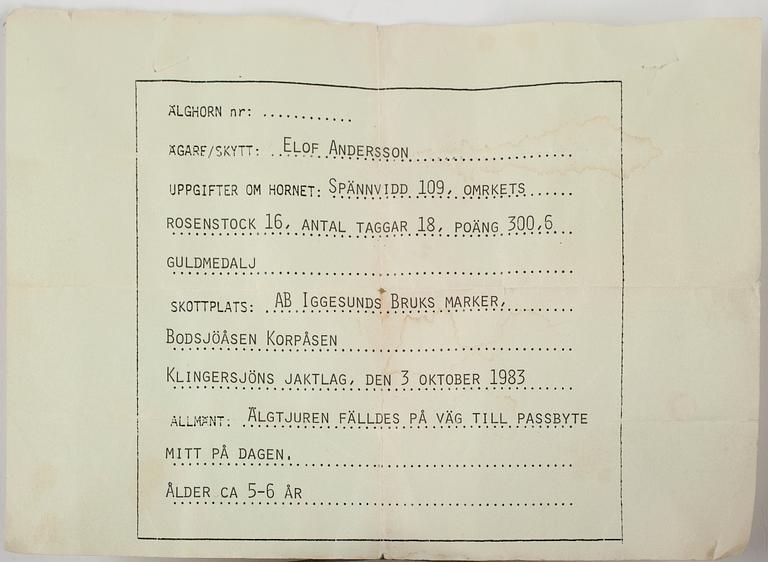 JAKTTROFÉ, Älghorn, 18-taggar, 1900-talets sista kvartal.