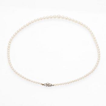 Necklace of graduated cultured pearls with a silver clasp.