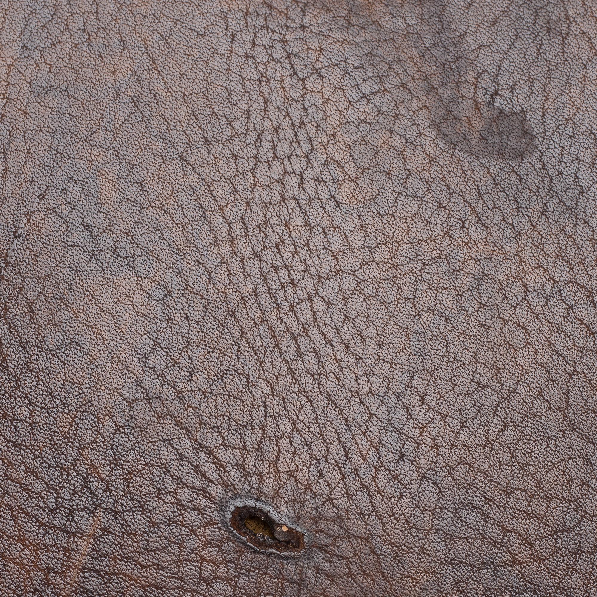 A set of seven 'Cattelin' chairs, Gemla, late 20th century.