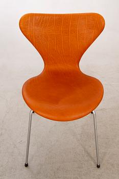 Arne Jacobsen, chairs 6 pieces, "Sjuan" Fritz Hansen. Denmark.