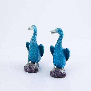 Four turquoise Chinese porcelain duck figurines, late Qing dynasty / around 1900.