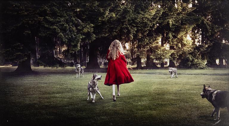 Saga Wendotte, "Into the Woods".