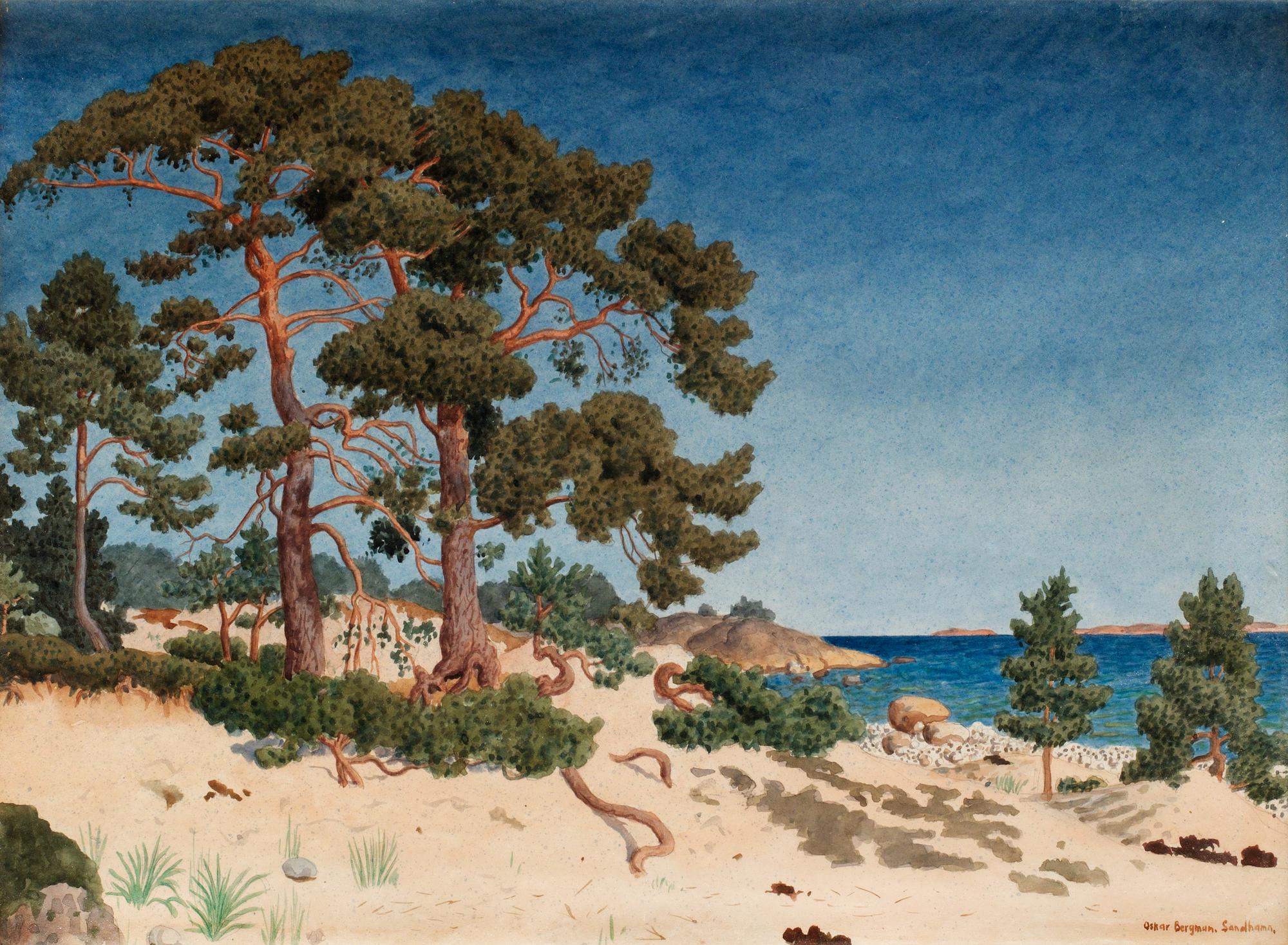 Oskar Bergman, "Tallar vid Sandhamn".