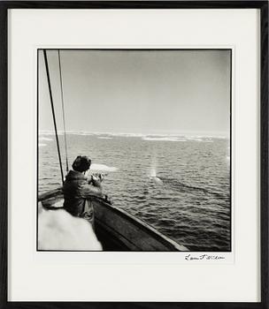 Lennart Nilsson,  "Isbjörnsjakt vid Hvitøya (Vitön), Svalbard, Norge 1947".