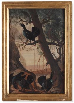864. Gustaf G Appelbom, Capercaillie Mating Dance.