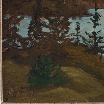 Helmer Osslund, River landscape from the north of Sweden.