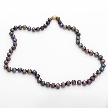 Collier odlade pärlor, lås 14K guld.