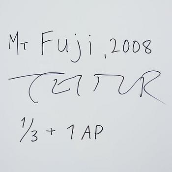 Teitur Ardal, "Mt Fuji", 2008.