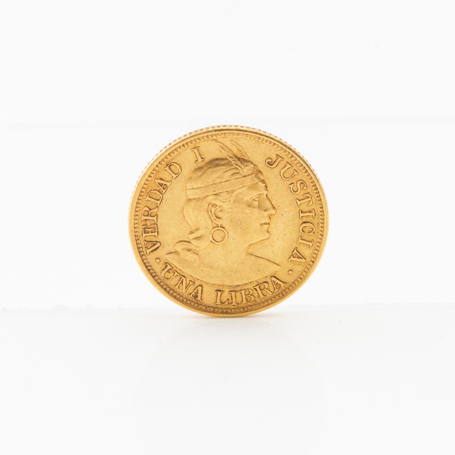 Gold coin 1 libra 1903 Peru.