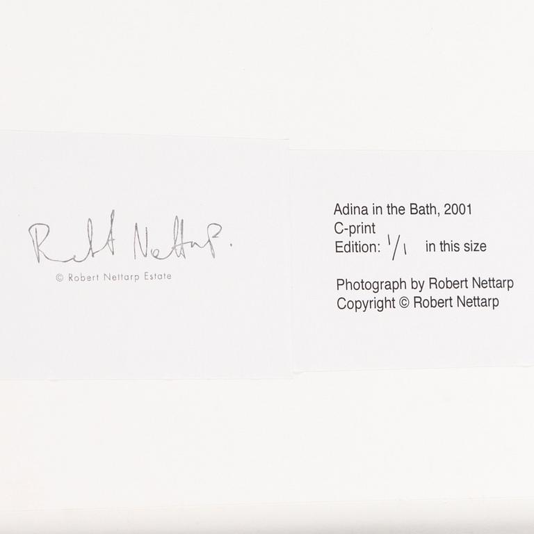 ROBERT NETTARP, C-print stamped signatur and numbered 1/1 on verso.
