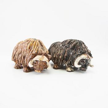 Tommy Assarsson, Musk Oxen a pair.