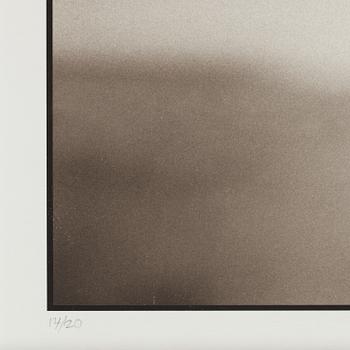 Nick Brandt, "Cheetah Looking Out over Plains, Masai Mara, 2004".