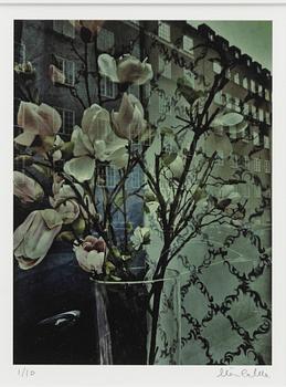 Mia Galde, Untitled.