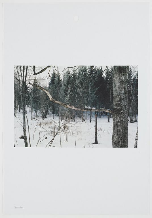 ANDREAS ERIKSSON, portfolio. Signed AE inside the box and numbered 18/250.