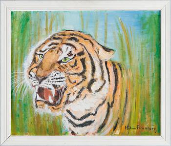 Håkan Brunberg, Tiikeri.