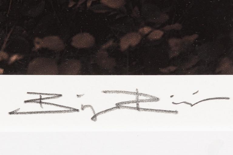 Bingo Rimér, Victoria Zorn.