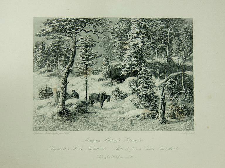 HJALMAR MUNSTERHJELM, "FOREST VIEW FROM HAUHO, HÄME".