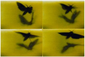 140. Mike & Doug Starn (Starn Twins), "ATL Film Still #8", 2000-2003.