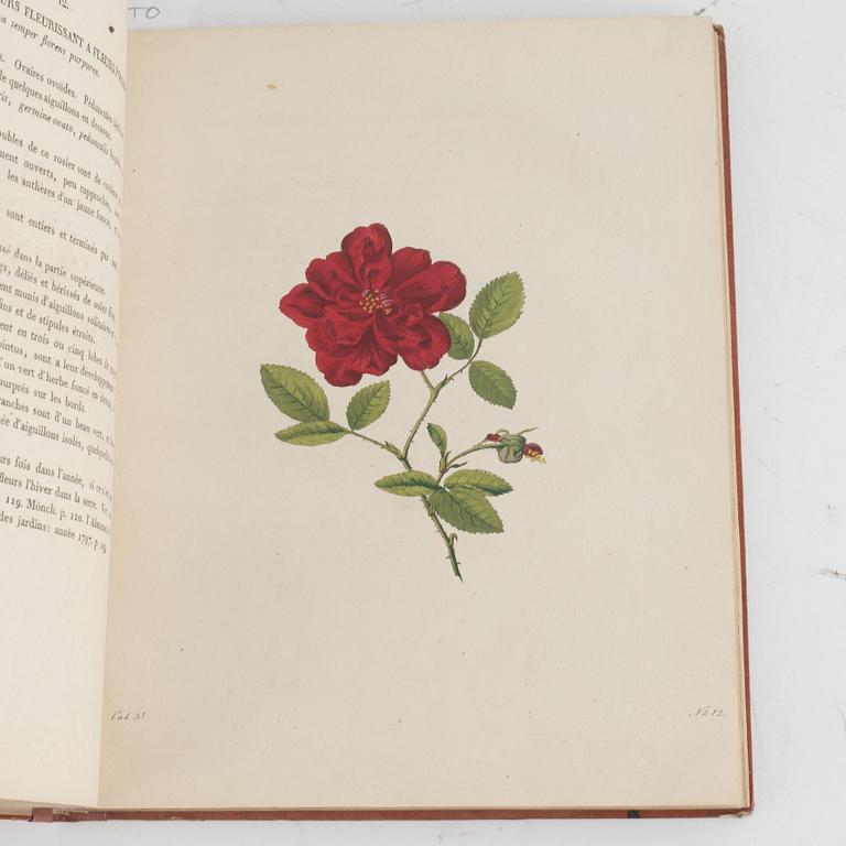 With 30 hand-coloured plates of Roses.