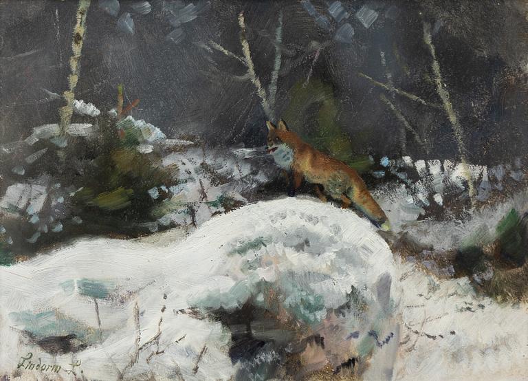 Lindorm Liljefors, Arctic fox on stone.