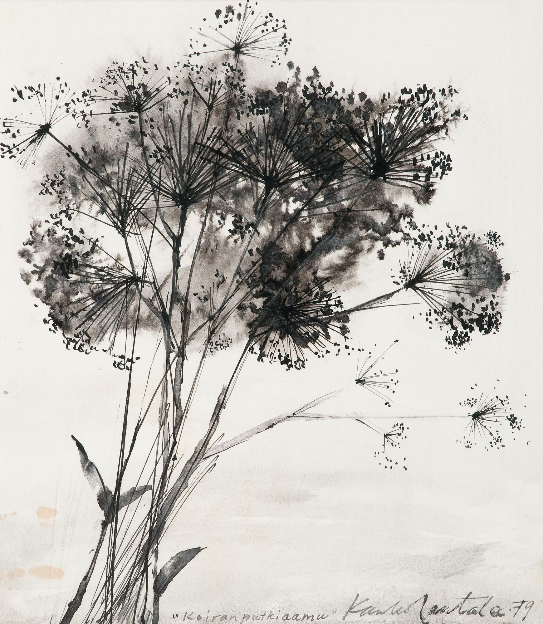 Kauko Rantala, COW PARSLEY.