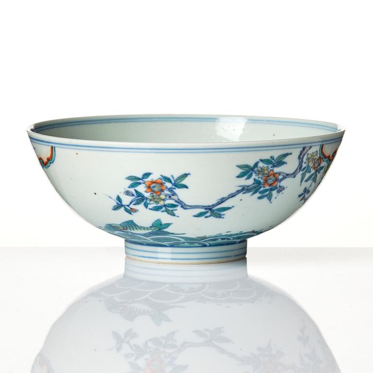 A doucai carp bowl, Qing dynasty, early 18th Century.