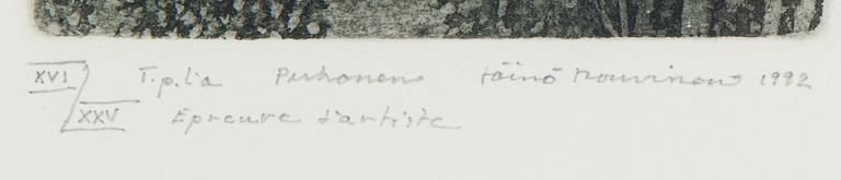 Väinö Rouvinen, ‘Butterfly’.