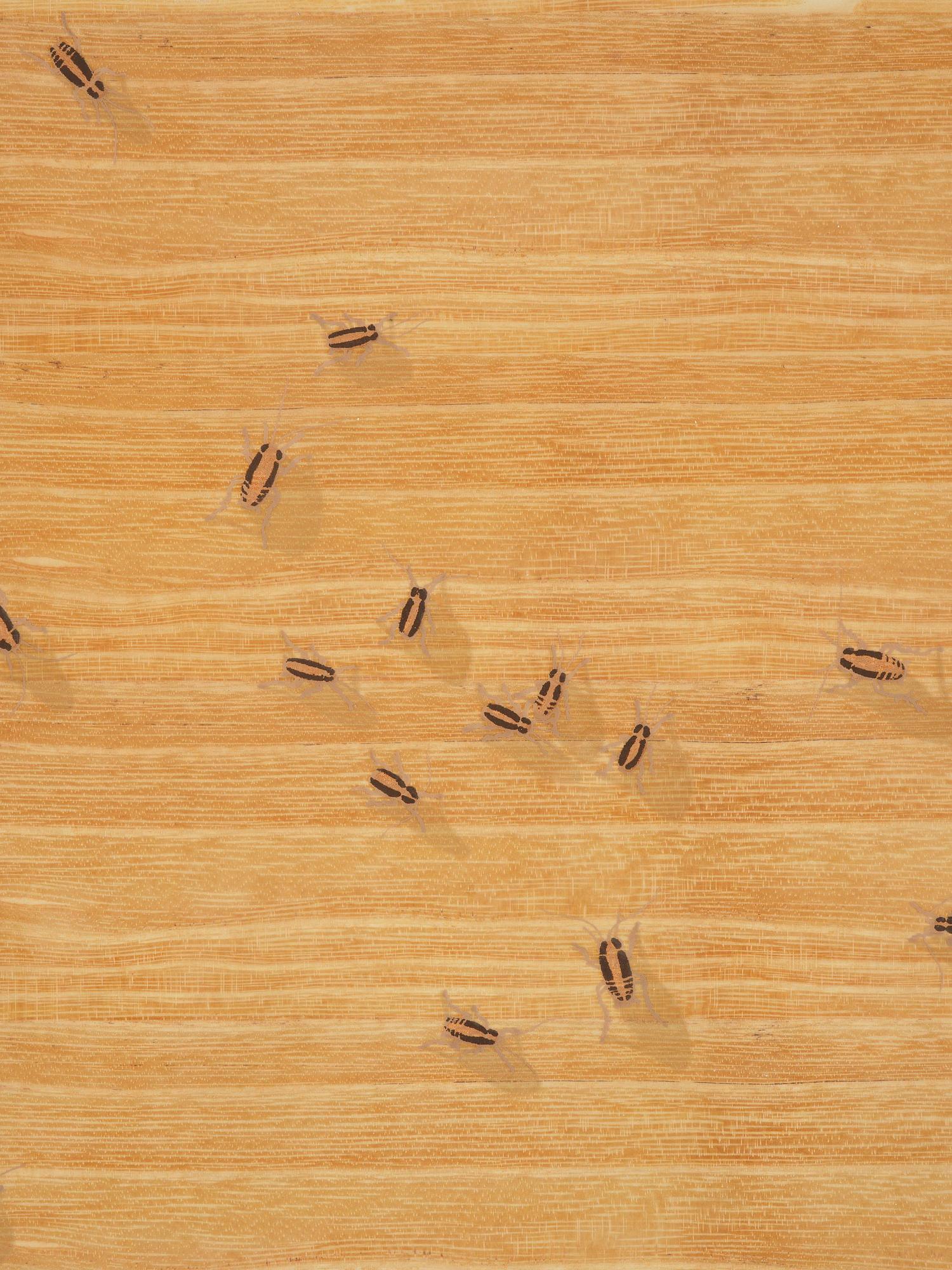 Ed Ruscha, "Flies" ur "Insects".