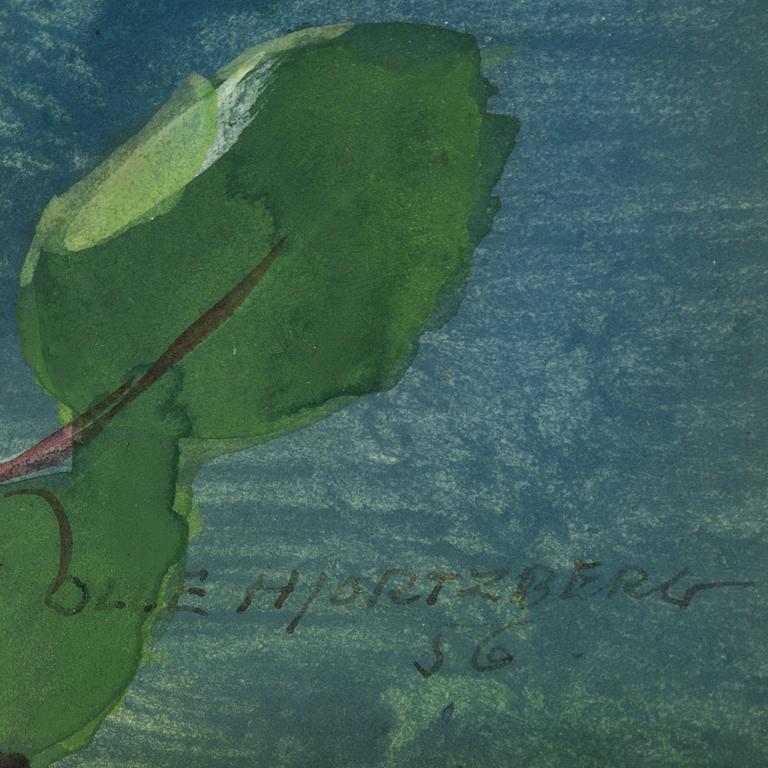 Olle Hjortzberg, Ros.