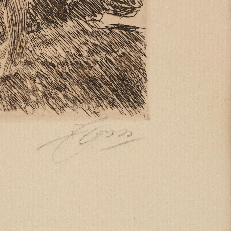 Anders Zorn, "Hårtång".