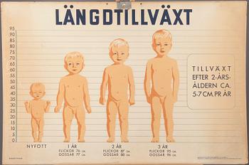 SKOLPLANSCHER, 2 st, Ljunglöfs STHLM, 1900-talets mitt.