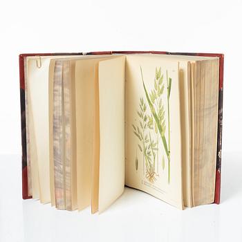 C.A.M Lindman, Bilder ur Nordens Flora, 3 band. Wahlström & Widstrand, 1922-1926.