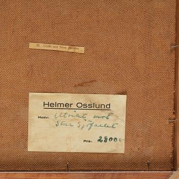 Helmer Osslund, "Utsikt mot Stora Sjöfallet".