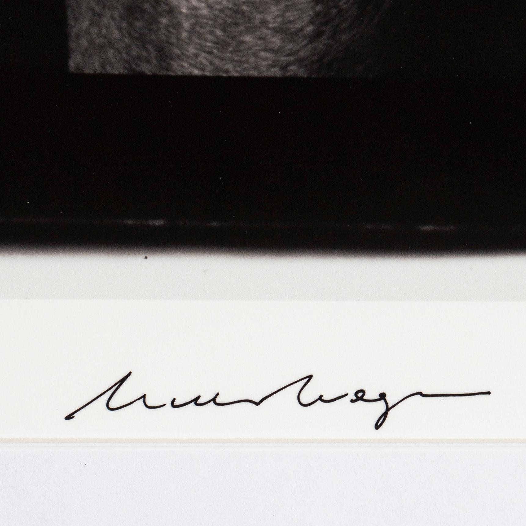 WILLIAM WEGMAN, fotografi, signerat och daterat -09.