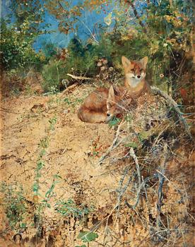 660. Bruno Liljefors, "Rävar" (Foxes).