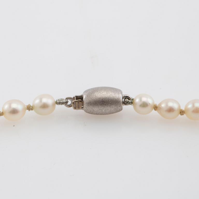 Halsband av odlade pärlor med lås av 14K vitguld.