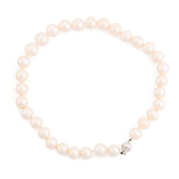 496. Collier odlade sötvattenspärlor.