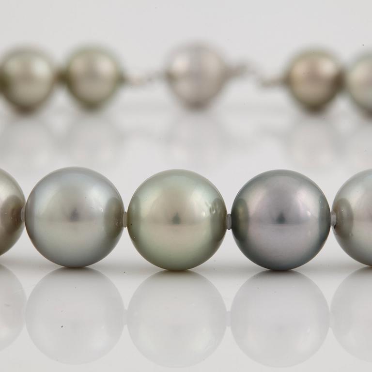 A cultured, Tahiti pearl necklace.
