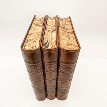 The Wright Brothers, book work, 3 volumes, "Swedish Birds", A. Börtzells tryckeri AB, Ivar Baarsen, Stockholm, 1927-1929.
