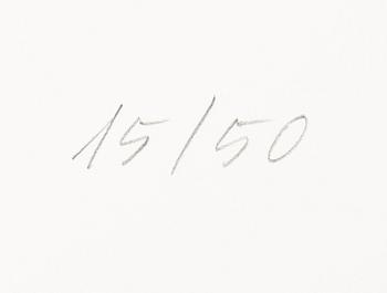 Raul Meel, "Windows and Landscape 5".