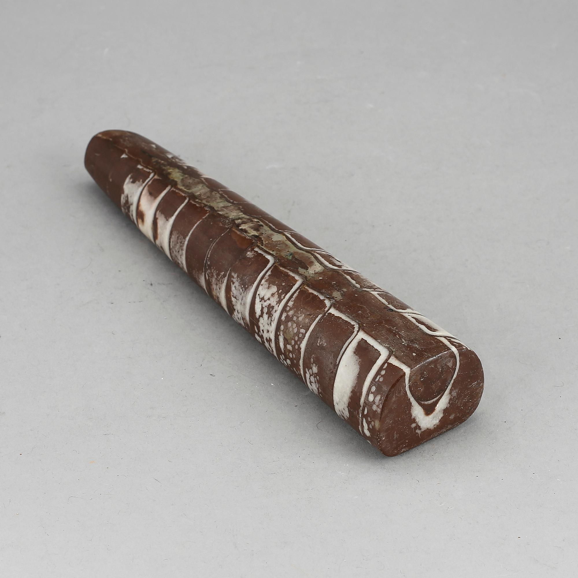 FOSSIL, ortoceratit.